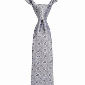 Robert Talbott Best Of Class Hand Sewn Finest Silk Tie Silver / Purple Paisley